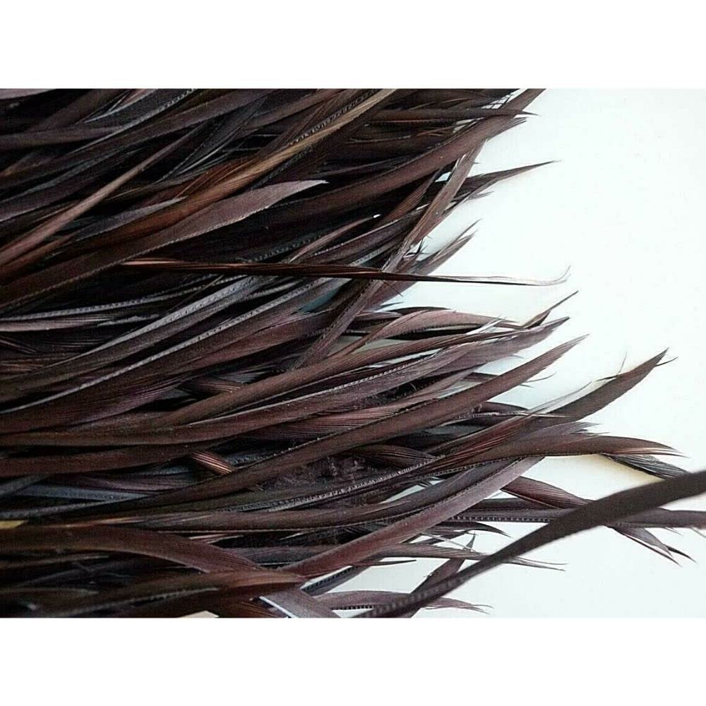 Goose Biots Feathers - 15 Pcs. Loose Milk Chocolate Brown - 6-9"
