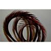 Goose Biots Feathers - 15 Pcs. Loose Milk Chocolate Brown - 6-9" view 2