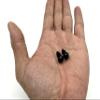 3dancraftit Plastic Safety Eyes with washers for Amigurumi Puppet Animal Crochet Stuffed Eyes Crafts 3/8" / 9mm 22 pcs Black EA86 view 4