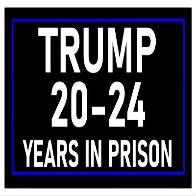 Trump 20-24 Years in Prison Sticker. Multiple Sizes to Fit a Phone to a Car Bumper Sticker