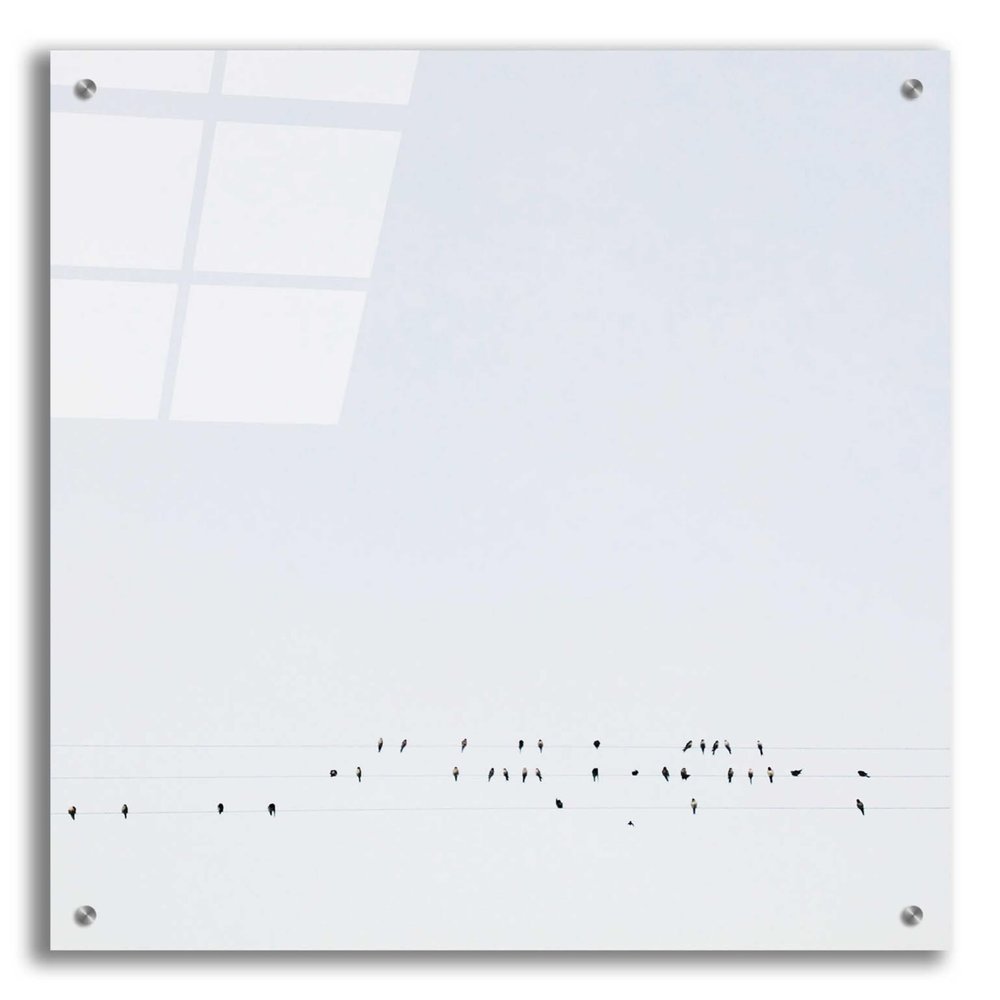 Epic Art 'Winter Sky' by Epic Portfolio, Acrylic Glass Wall Art, 24"x24"