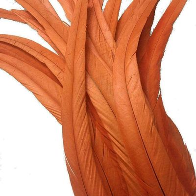 Rooster Tail Coque Feathers - Dyed Orange - 20 Pcs. - 6-8"