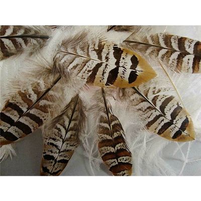5 Pcs Pheasant Reeves Feathers - Mini Center Wing Feather - 3-4"