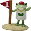 (DAIKAI) Copeau Sports Festival Frog view 1