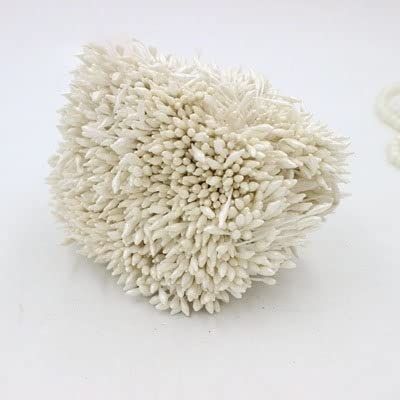 HZLXF1 1-2mm 300pcs/Lot Double Heads Ivory Color Flower Pearl Stamen Cake Decoration Craft DIY (Color : Ivory)