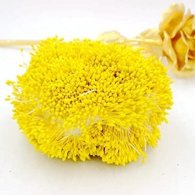 HZLXF1 1800pcs1mm Double Tips Multicolor DIY Pearl Flower Stamen Floral Stamen Cake Decotaion/Wedding Decoration (Color : Yellow)