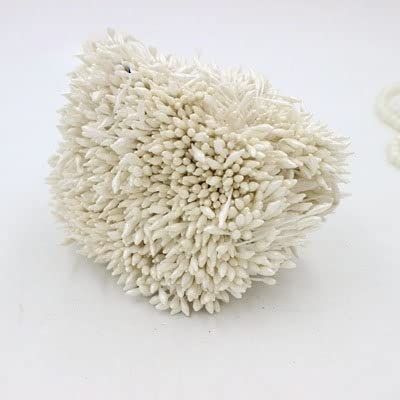 HZLXF1 1mm 900pcs/Lot Double Heads Multi Color Flower Pearl Stamen Cake Decoration Craft DIY (Color : Ivory)