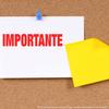 Importante Rubber Stamp, Desk Supplies, Wooden Handle Rubber Stamp, Uses Stamp Pad, Imprint Size Approx 1/2" x 1-1/2", Laser Engraved, USA Made view 4