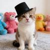 LABRIMP Miniature Top Hats 2 Pcs 5.31X5.31X2.75 Inch Black Felt Mini Doll Top Hats for DIY Crafts Doll Costumes Snowman Decoration Accessories view 3