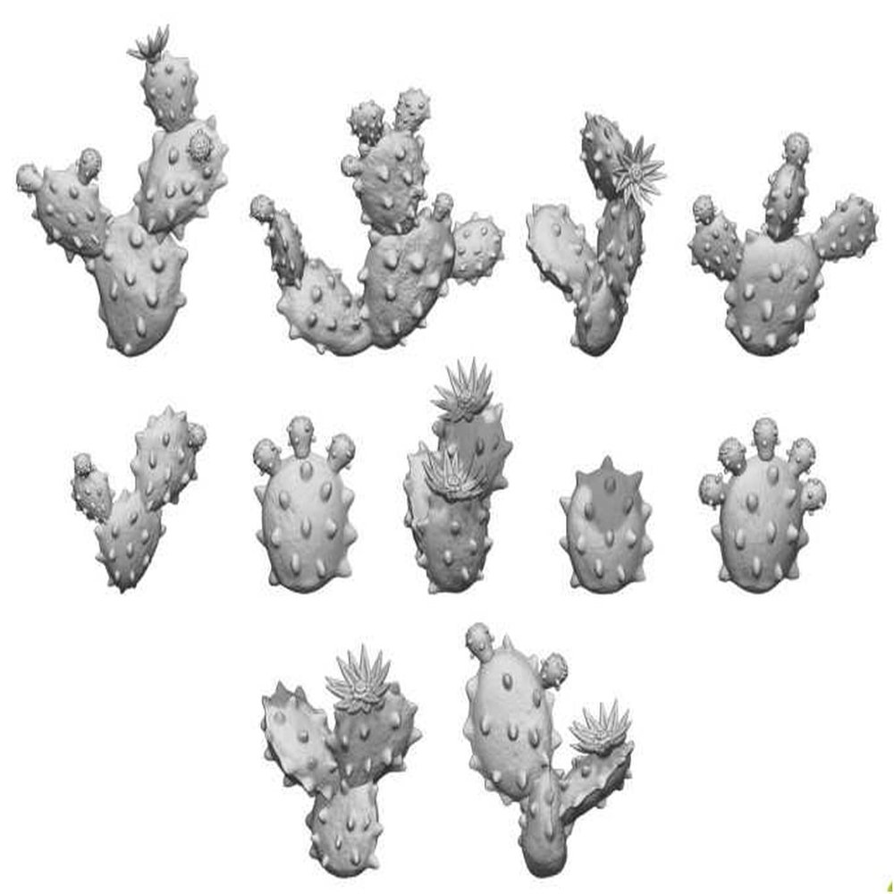 GREEN STUFF WORLD GSWD-11612 Greenstuff World Diorama Accessories, 3D Printing Set, Prickly Pear Cactus, 20 Pieces, Hobby Accessories
