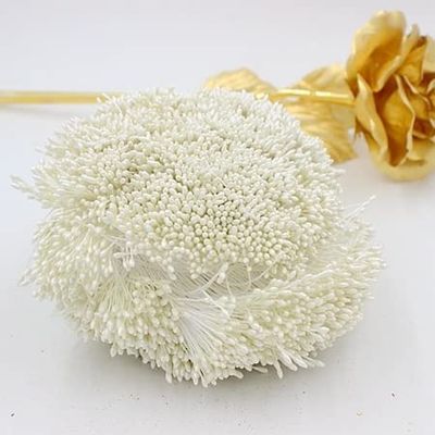 HZLXF1 900pcs/lot 1mm Double Heads DIY Artificial Mini Pearl Flower Stamen Pistil Floral Stamen for Wedding Decoration DIY (Color : White)