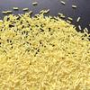 EHOPE 50g Fake Sprinkles Resin Sprinkles Fake Candy Sprinkles Clay Sprinkles Polymer Sprinkles Polymer Clay Slices for Nail Art DIY Crafts Cake Phone Case(8-Yellow view 4