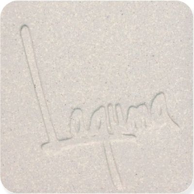 Stony White WC412 | Cone 10 | Laguna Clay | 10 lbs