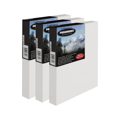 Paramount Professional Gallery Wrapped Canvases for Painting, 4x6 Pack of 3 Heavy-Duty Stretched Canvas, Unbleached 100% Cotton, 1-13/16 Deep, Acid-Free, Triple-Primed, Medium-Tooth Surface