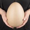 Pack of 12 Large Paper Mache Eggs - Papier Mache Eggs Bigger Than Ostrich Eggs Ready to Paint and Decorate for DIY Easter Egg Crafts - Make Your Own Dinosaur Eggs (8"H x 6"Dia) view 3