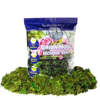 SuperMoss Preserved Green Moss, 12 Pack