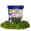 SuperMoss Preserved Green Moss, 12 Pack view 1