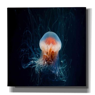 Epic Graffiti 'Blast Off' by Epic Portfolio, Giclee Canvas Wall Art, 54"x40"