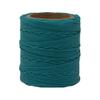 Maine Thread Braided Waxed Polycord, 70 Yards, Aqua (.020") view 1