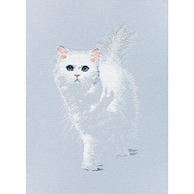 Wizardi RTO Cross Stitch Kit on Canvas Aida with Lightsome. Incredible Chart 6.89 * 11.02 inches M780. Awesome for Embroidery & Needlework Amateurs