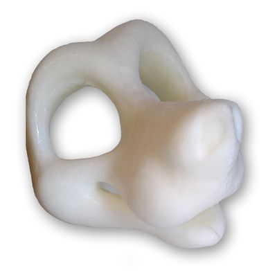 Sam the Canine, Foam Head Base and Eye Blank option for Fursuiting, For Furries and Cosplay DIY - FurryBay (Sam Head plus EB4 Eye Blanks)