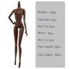 Replacement 1/6 Jointed Movable Doll Making Body for 11.5" Dollhouse DIY Body Dolls Accessories (Chocolate) view 2