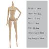 Replacement 1/6 Jointed Movable Nude Doll Making Body for 11.5" Dollhouse DIY Body Dolls Accessories (Nude) view 2