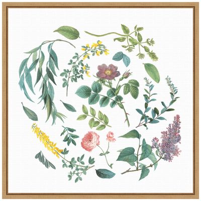 Amanti Art Framed Canvas Wall Art 16x16 Victorian Garden Bright I by Wild Apple Portfolio, Framed Wall Art Canvas, Flowers Artwork, Modern Decor, Small Poster Painting for Living Room, Bedroom,