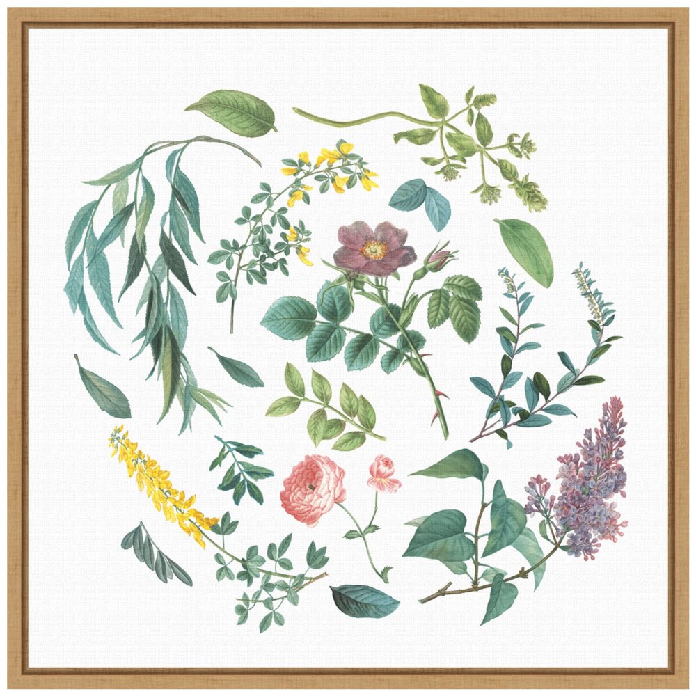 Amanti Art Framed Canvas Wall Art 16x16 Victorian Garden Bright I by Wild Apple Portfolio, Framed Wall Art Canvas, Flowers Artwork, Modern Decor, Small Poster Painting for Living Room, Bedroom,