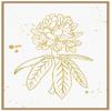 Amanti Art Framed Canvas Wall Art 28x23 Gold Blooms II by Wild Apple Portfolio, Framed Wall Art Canvas, Flowers Artwork, Modern Decor, Medium Poster Painting for Living Room, Bedroom, Bathroom, view 1