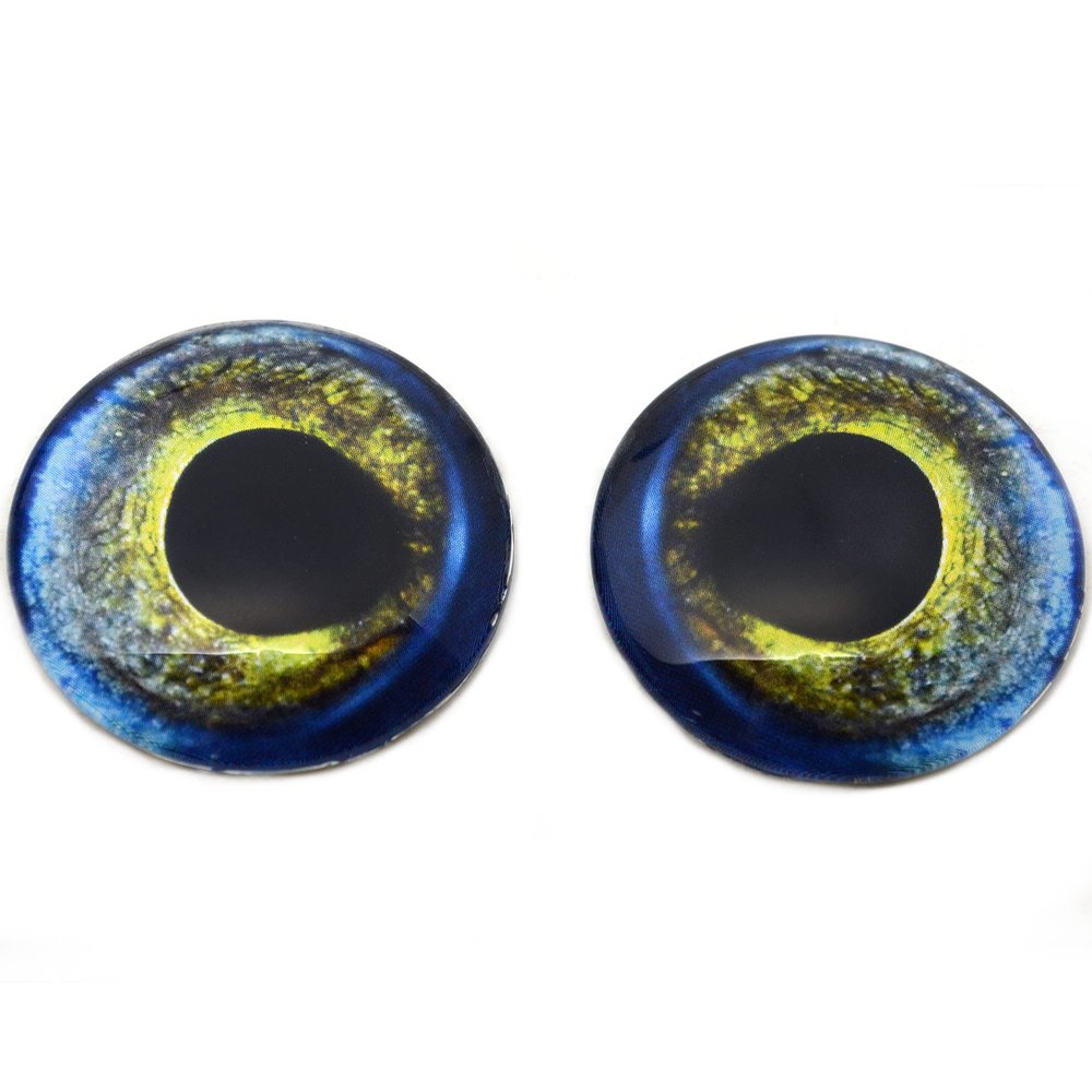 Megan's Beaded Designs Moray EEL Glass Eyes Realistic Electric Green Blue Yellow 6mm to 60mm Jewelry Making Art Doll Fish Animal Mache Taxidermy Sculpture Flatback (10mm)