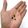 3dancraftit Barrel Riveted Purse feet 5/16" / 8mm Spike Rivet Studs Spots Leather Rivet for Bag Making Clothing Shoes Anti Bronze H159 view 4