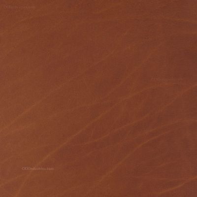 Water Buffalo Leather (8-9oz) - (1 Pack) - Vegetable Tanned - Thickness (0.125in ~ 0.140in) - (Golden Brown) - (12in x 12in)