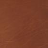Water Buffalo Leather (8-9oz) - (1 Pack) - Vegetable Tanned - Thickness (0.125in ~ 0.140in) - (Golden Brown) - (12in x 12in) view 1