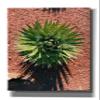 Epic Graffiti 'Utah - Cactus 2' by Epic Portfolio, Canvas Wall Art, 12"x18" view 1