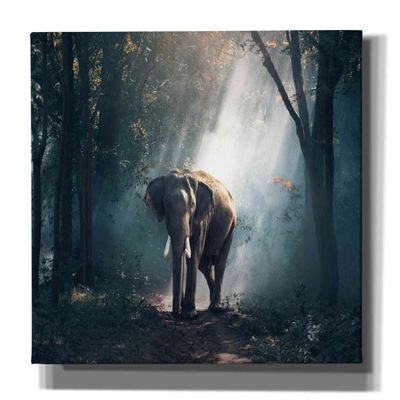 Epic Graffiti 'Elephant' by Epic Portfolio, Giclee Canvas Wall Art, 60"x40"