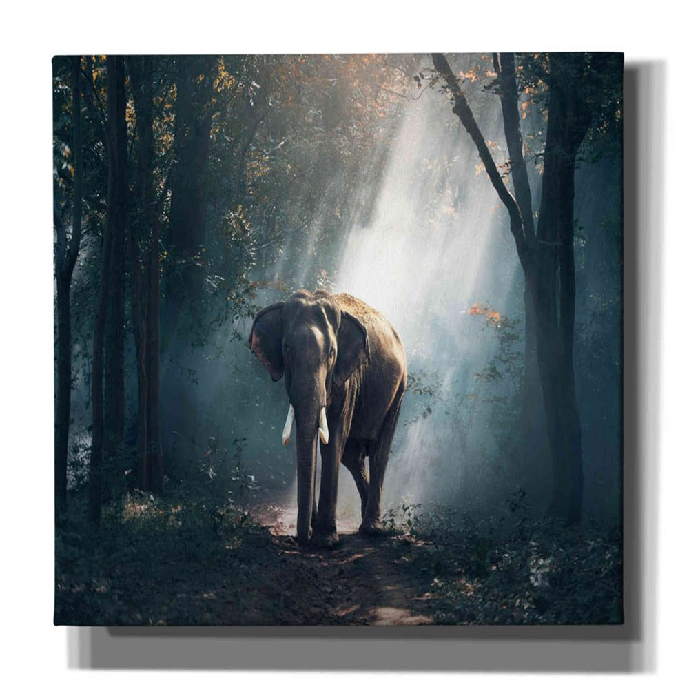Epic Graffiti 'Elephant' by Epic Portfolio, Giclee Canvas Wall Art, 60"x40"