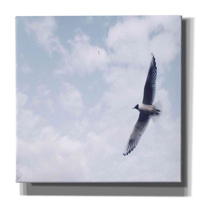 Epic Graffiti 'Sky Cruising' by Epic Portfolio, Giclee Canvas Wall Art, 54"x40"