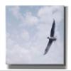Epic Graffiti 'Sky Cruising' by Epic Portfolio, Giclee Canvas Wall Art, 54"x40" view 1