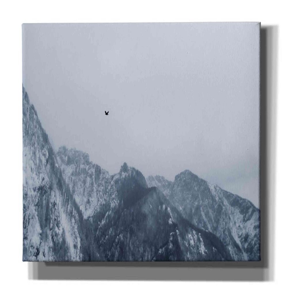 Epic Graffiti 'Alpine Winter Bird' by Epic Portfolio, Giclee Canvas Wall Art, 60"x30"