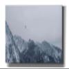 Epic Graffiti 'Alpine Winter Bird' by Epic Portfolio, Giclee Canvas Wall Art, 60"x30" view 1