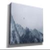 Epic Graffiti 'Alpine Winter Bird' by Epic Portfolio, Giclee Canvas Wall Art, 60"x30" view 2