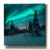 Epic Graffiti 'Northern Lights In Winter Forest 4' by Epic Portfolio, Giclee Canvas Wall Art, 60"x40" view 1