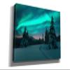 Epic Graffiti 'Northern Lights In Winter Forest 4' by Epic Portfolio, Giclee Canvas Wall Art, 60"x40" view 2
