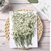 Fabbay 50 Sets Wedding Invitations Wraps Set Envelope for 5 x 7 Inch Invitations Self Adhesive Gold Wax Seal Sticker Natural Dried Flowers for DIY Photos Cards Baby Shower Party view 2