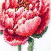 Magic Needle Zweigart Edition Counted Cross Stitch kit Red Peony, 11x11cm, DIY view 3