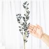Factory Direct Craft Group of 2 Artificial Blueberry Stems for Everyday Arrangements and Home Decor view 4