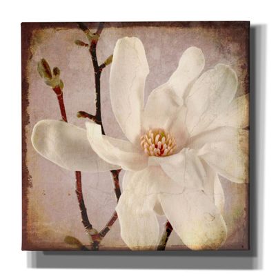 Epic Graffiti 'Paper Magnolia Closeup' by Lightbox Journal, Canvas Wall Art, 26"x26"
