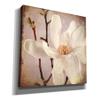 Epic Graffiti 'Paper Magnolia Closeup' by Lightbox Journal, Canvas Wall Art, 26"x26" view 2