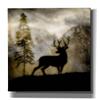 Epic Graffiti 'Mystic Deer' by Lightbox Journal, Canvas Wall Art, 12"x16" view 1
